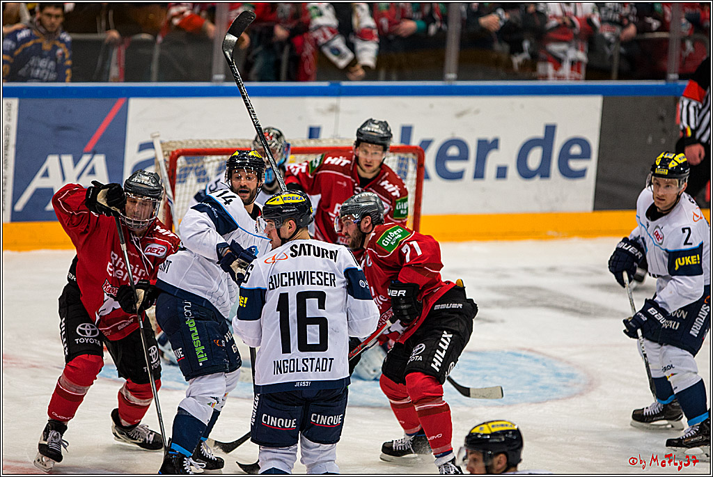 DEL, Koelner Haie - ERC Ingolstadt, 20.01.2017